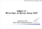 Summary of White Papaer on Nuclear Energy 2017