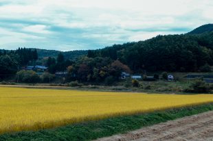 Kawauchi Village in October 2017