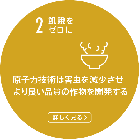 2.飢餓をゼロに/原子力技術は害虫を減少させより良い品質の作物を開発する