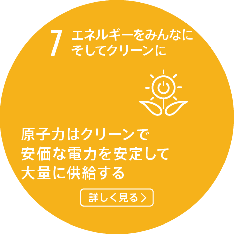 7.エネルギーをみんなにそしてクリーンに/原子力発電はクリーンで信頼性の高い手頃な価格のエネルギーを大量に供給する