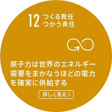 12.つくる責任つかう責任/原子炉は世界のエネルギー需要を満たすために必要な電力を責任を持って生産する