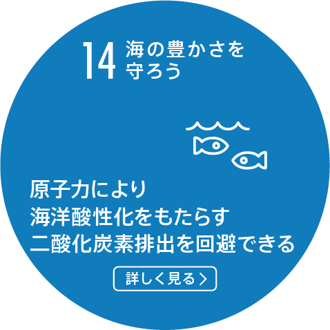 14.海の豊かさを守ろう/原子力により海洋酸性化をもたらす二酸化炭素排出を回避できる