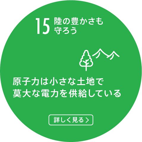 15.陸の豊かさも守ろう/原子力発電所は小さな面積の土地から大量の電力を供給している