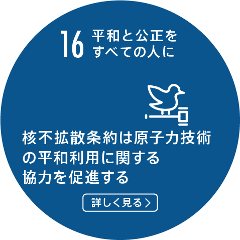 16.平和と公正をすべての人に/核不拡散条約は原子力技術の平和利用に関する協力を促進する